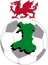 Fútbol - Primera División de Gales - Premier League - Liga de Campeonato - 2013/2014