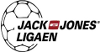 Balonmano - Liga de Balonmano de Dinamarca Masculino - Play-Off Grupo 2 - 2015/2016