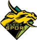 Elect Sport N'djamena (CHA)