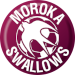 Moroka Swallows FC