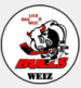 EC Bulls Weiz