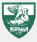 Leatherhead FC (ENG)