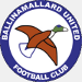 Ballinamallard United FC (NIR)