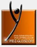 SG VBC Weiz/Gleisdorf