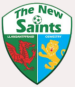 The New Saints FC (WAL)