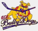 ECE Bully Dogs Nordhorn