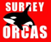 Surrey Orcas