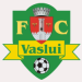 FC Vaslui (ROU)
