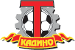 FC Torpedo-Kadino Mogilev
