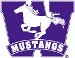 Western Ontario Mustangs
