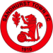 Sandhurst Town FC