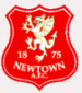 Newtown AFC (WAL)