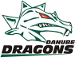 Danube Dragons