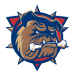 Hamilton Bulldogs (AHL)