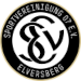SV Elversberg 07 (8)