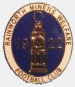 Rainworth Miners Welfare F.C.