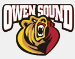 Owen Sound Attack