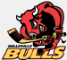 Belleville Bulls