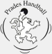 Prades-le-Lez handball (FRA)