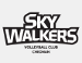 Cheonan Hyundai Capital Skywalkers