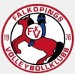 Falköping VK (SWE)
