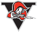 Drummondville Voltigeurs