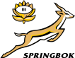 Emerging Springboks