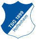 TSG 1899 Hoffenheim (1)