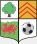 AFC Llwydcoed