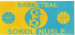 Sokol Nusle