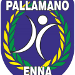 Pallamano Haenna