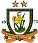 Llanidloes Town FC