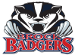 Brock Badgers