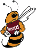Concordia Stingers