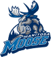 Manitoba Moose