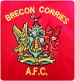 Brecon AFC