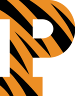 Princeton Tigers (USA)
