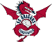 VC Dragons F&uuml;rstenfeld