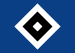 Hamburger SV U19