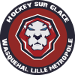 Wasquehal Lille Métropole HC (FRA)