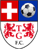 Tomás Greig FC