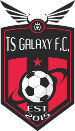 TS Galaxy FC (RSA)