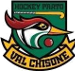 HC Valchisone