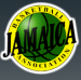 Jamaica silla de ruedas