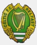 Belfast Celtic F.C.