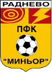 PFC Minyor Radnevo