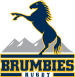 Brumbies