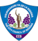 Dodoma Jiji FC