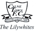 Calne Town FC