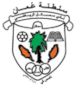 Samail SC